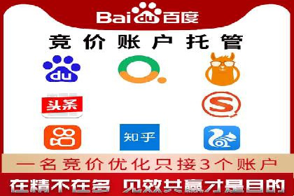 SEM推广策略：成功案例分享与优化技巧